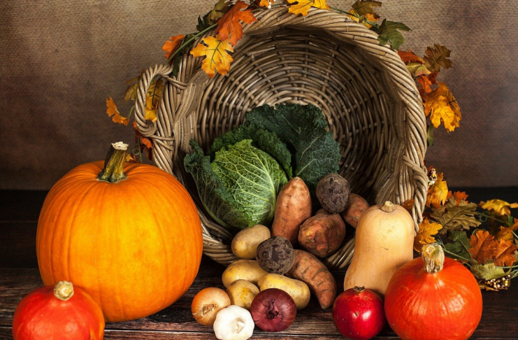 5 Grandes ideas para preparar comida vegetariana 5 Grandes ideas para preparar comida vegetariana