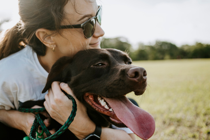 Como se manifiestan las emociones y los sentimientos en las mascotas