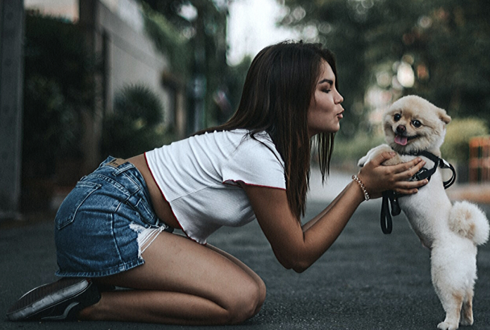 Como se manifiestan las emociones y los sentimientos en las mascotas Como se manifiestan las emociones y los sentimientos en las mascotas
