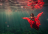 Lexi Laine. La innovación en el arte fotográfico submarino