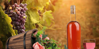 La vie en rose. Los distintos tipos de vinos rosados y sus características principales