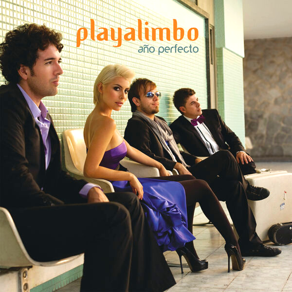 Año perfecto (2010)